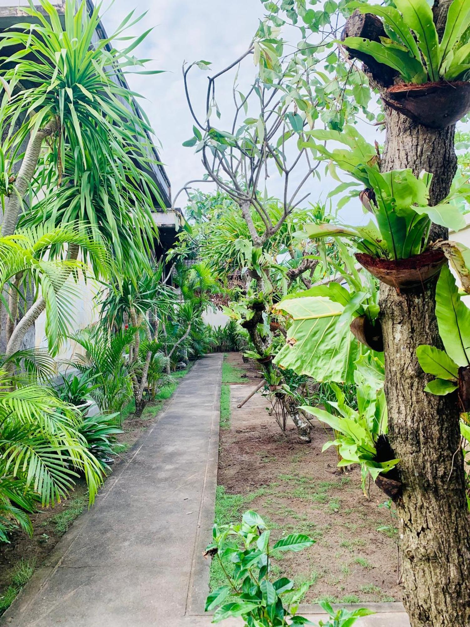Pondok Baruna Garden Nusa Lembongan  Exterior photo